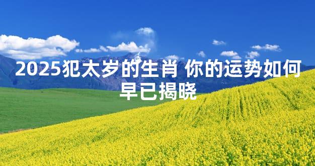 2025犯太岁的生肖 你的运势如何早已揭晓